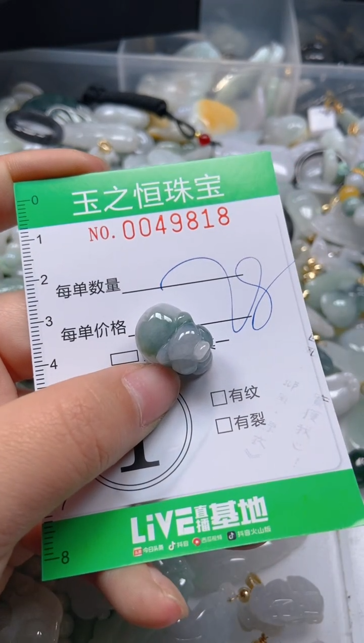 【闪购商品】翡翠颈饰未镶嵌闪购0049818