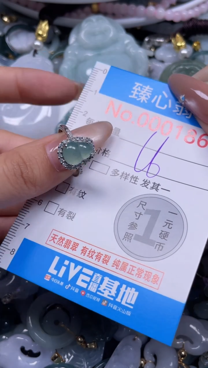 颈饰未镶嵌翡翠1863