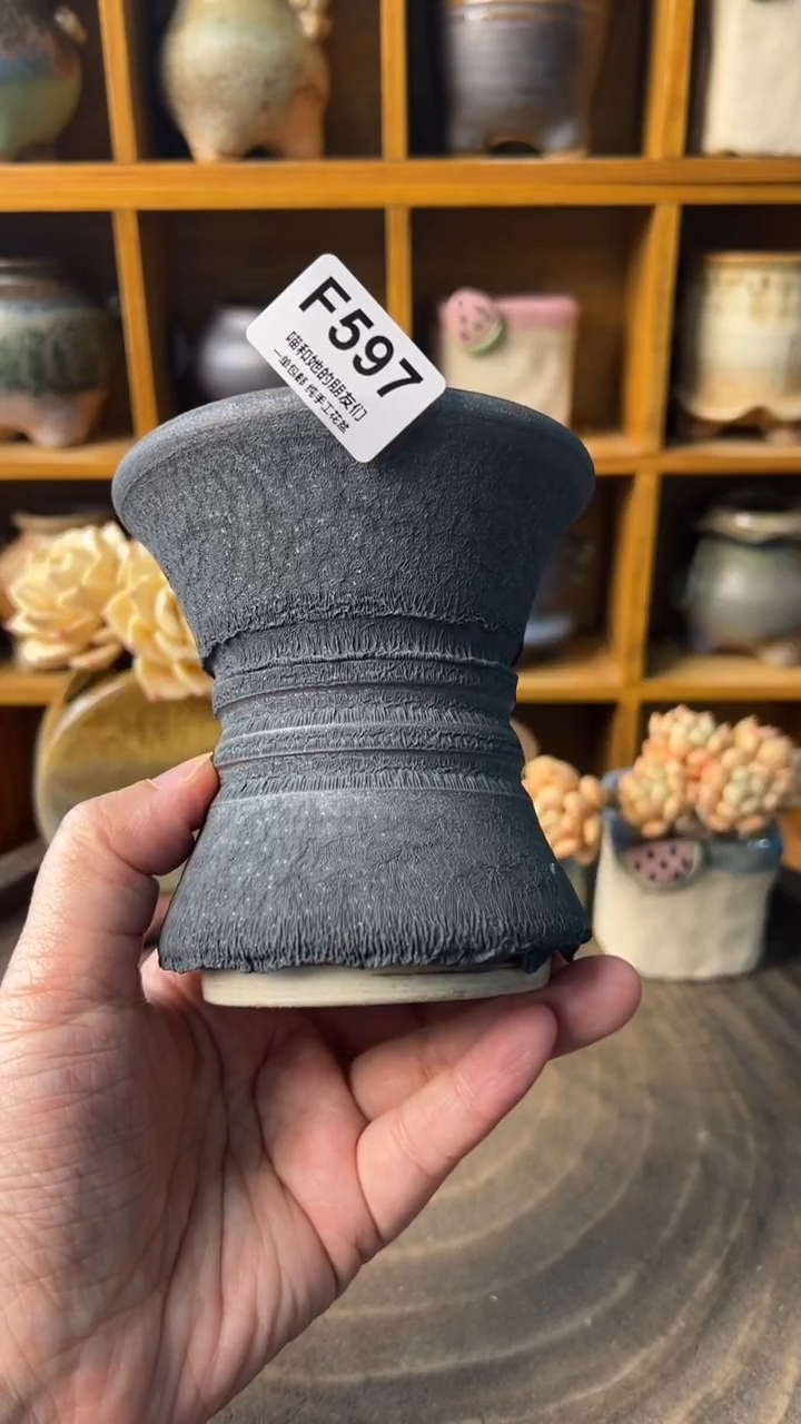 597 内口9【多肉花盆多肉盆】