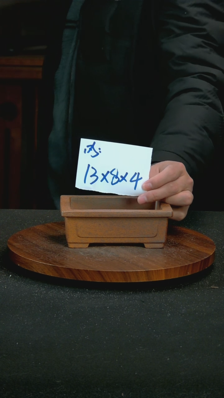 【闪购商品】紫砂P58