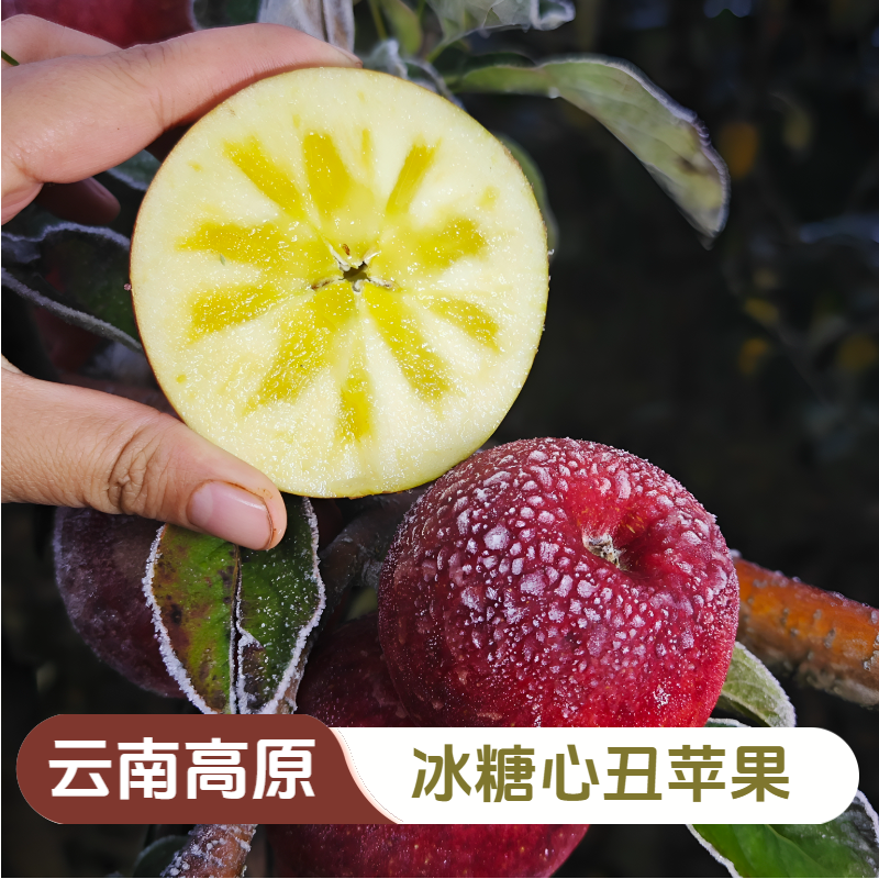 【中通快递】云南昭通丑苹果宁蒗苹果丽江雪山苹果高原冰糖心丑苹果