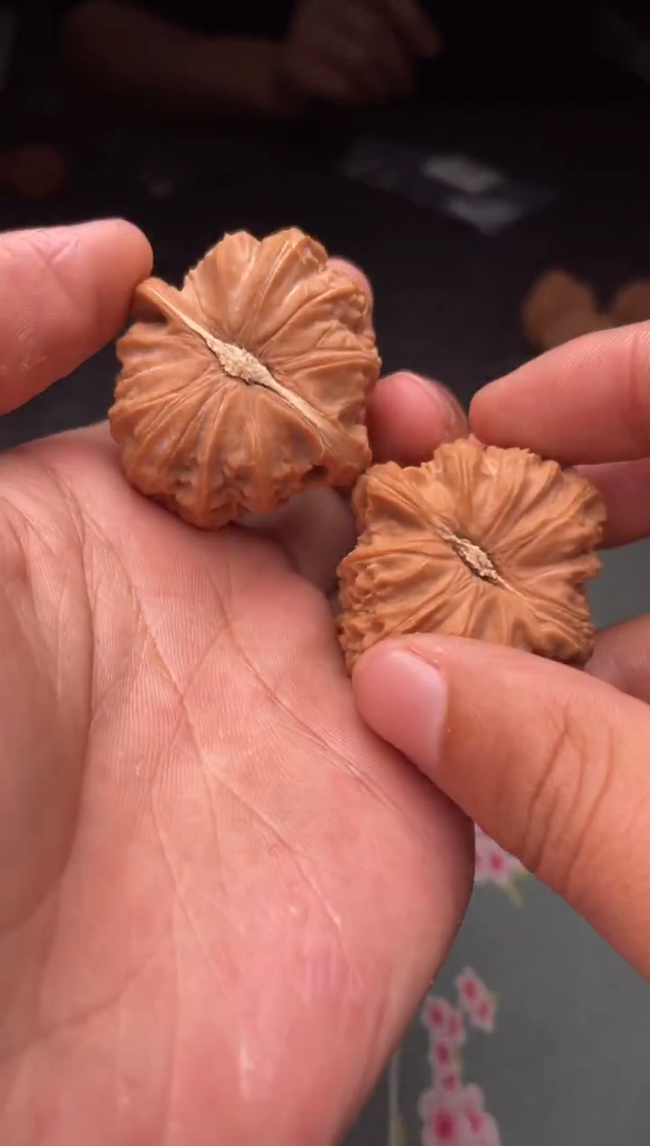 把件文玩核桃a197  白狮子     37尺