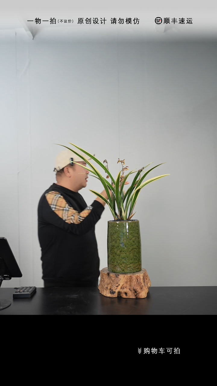 【闪购商品】021号链接【一物一拍】艺术盆景