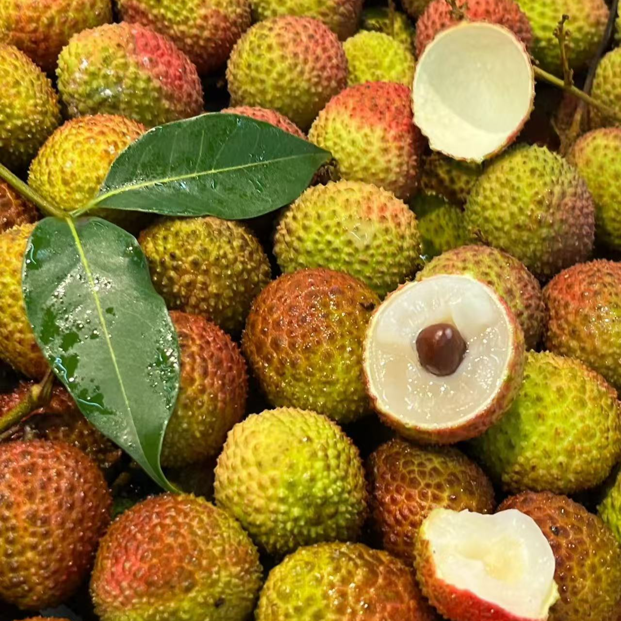 【现货-顺丰】钱库里优选 新鲜妃子笑荔枝核小肉厚香甜水果新鲜采摘