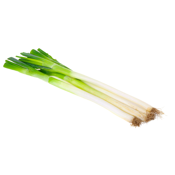 大葱约40斤左右/捆