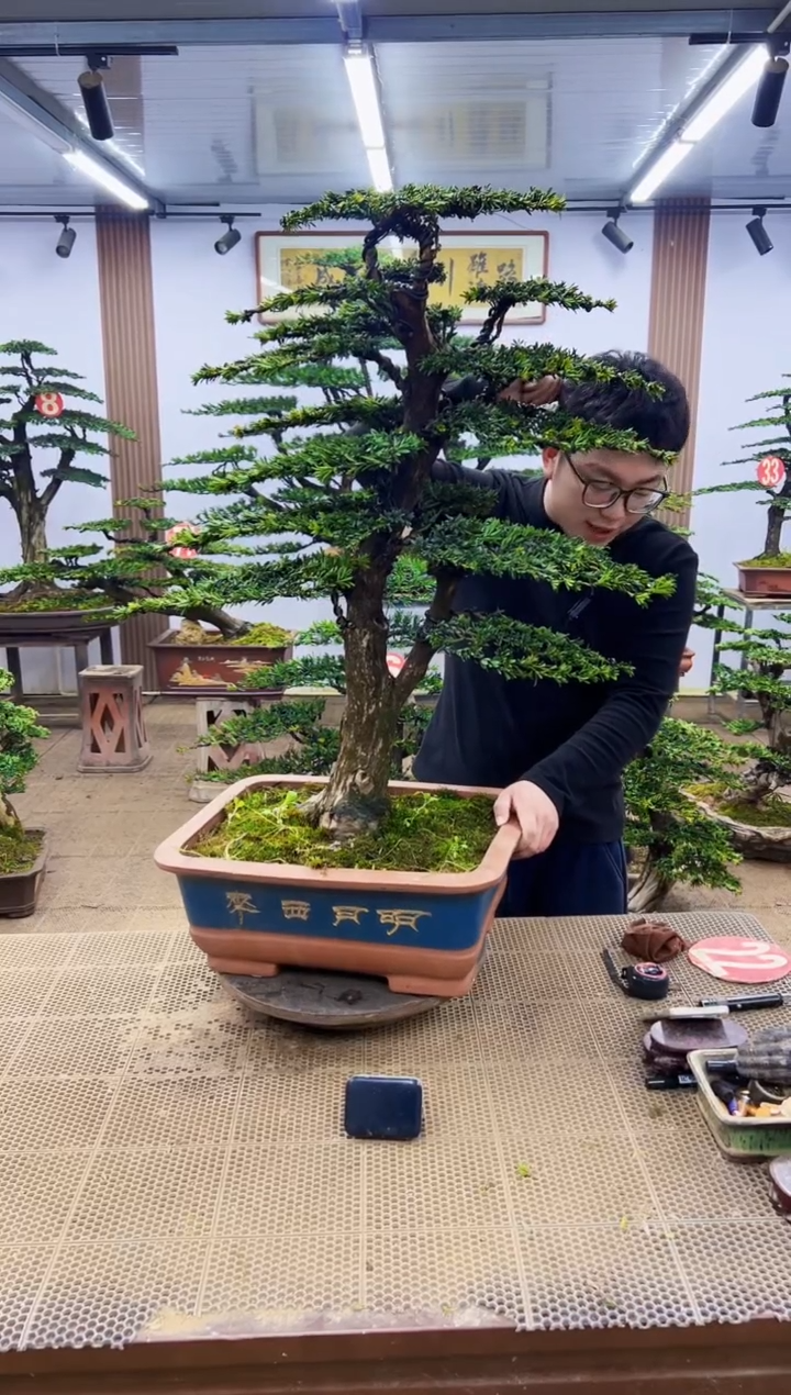 一物一拍，所见即所得