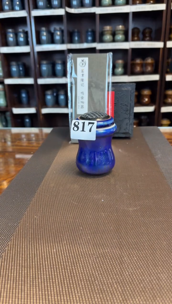 【闪购商品】青金石蓝    滑车  一只   817