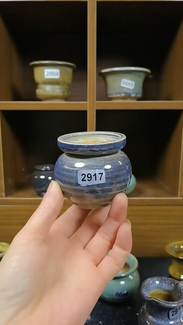 【闪购商品】红陶2917