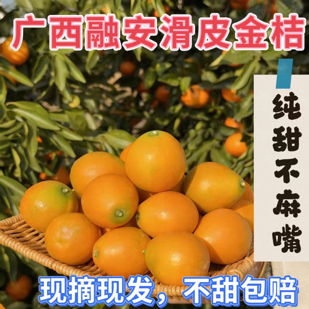 广西融安第二代滑皮金桔-糖果袋独立包装一斤装，H5，