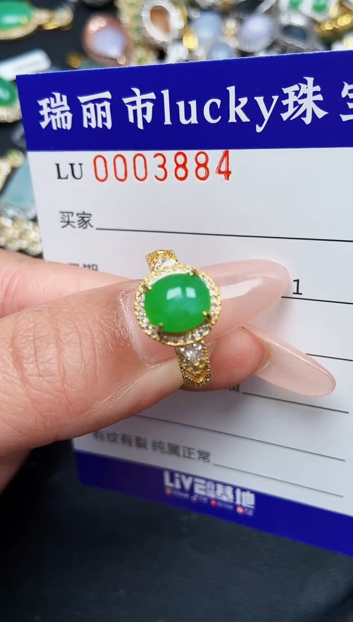 【闪购商品】翡翠颈饰银S925镶嵌3884