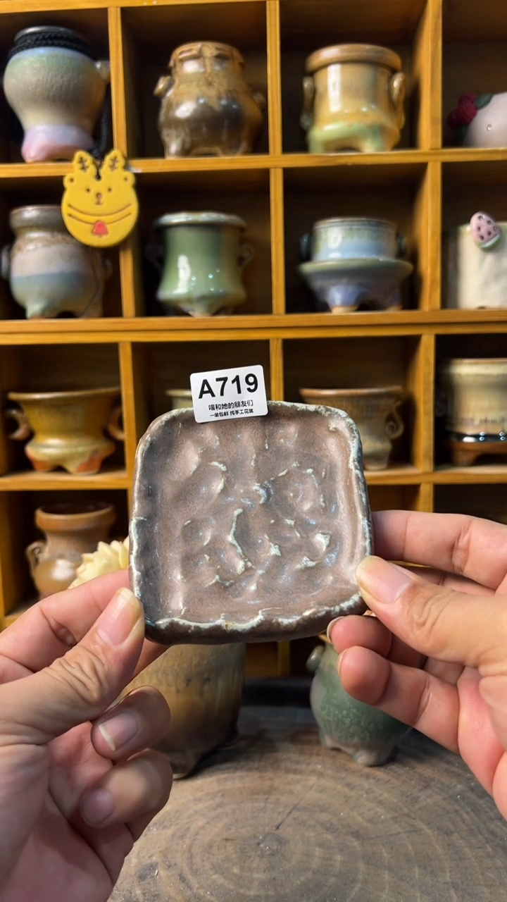 719托盘【多肉花盆多肉盆】