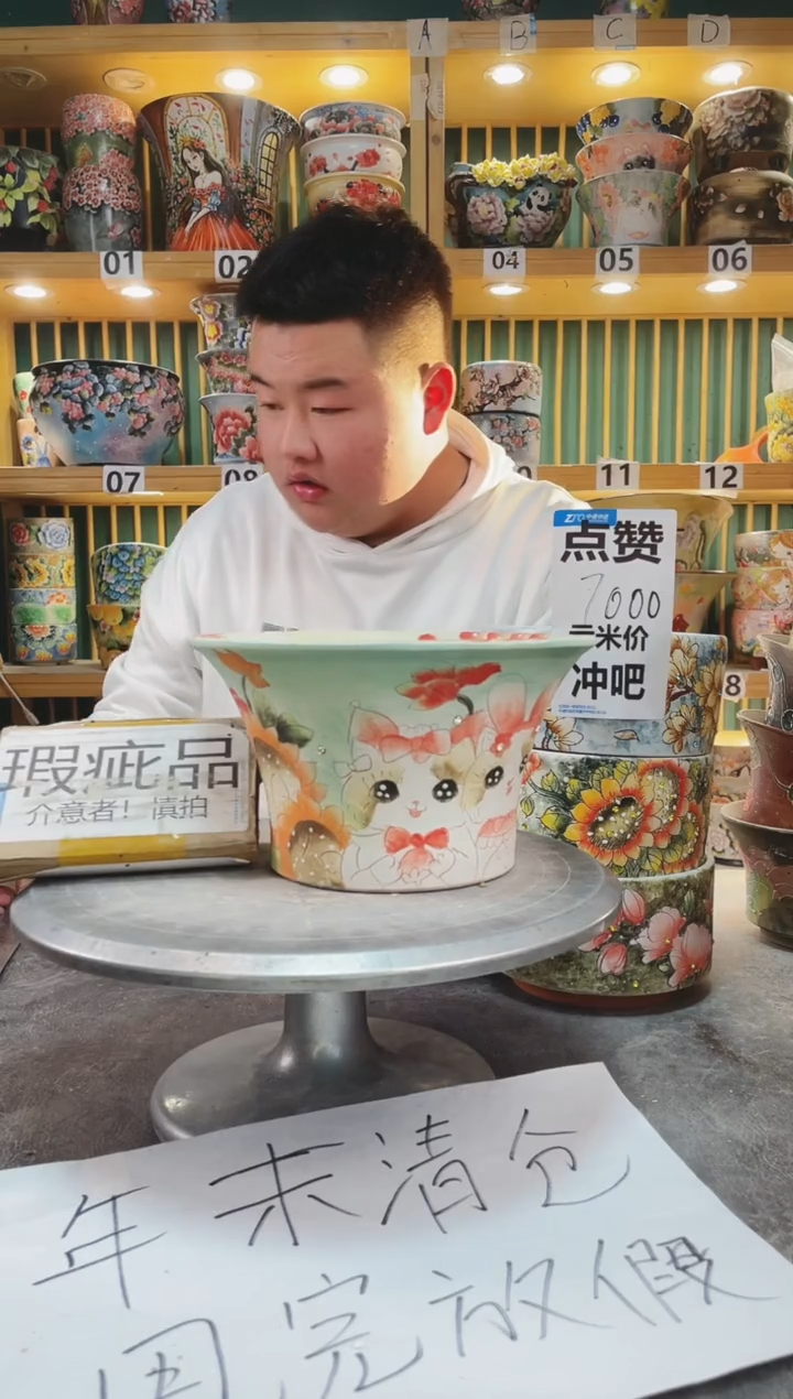 【闪购商品】瓷片默认微瑕一物一拍0116-080