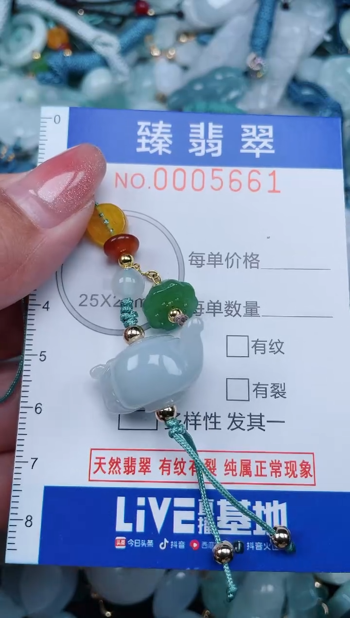 【闪购商品】翡翠颈饰未镶嵌.0005661