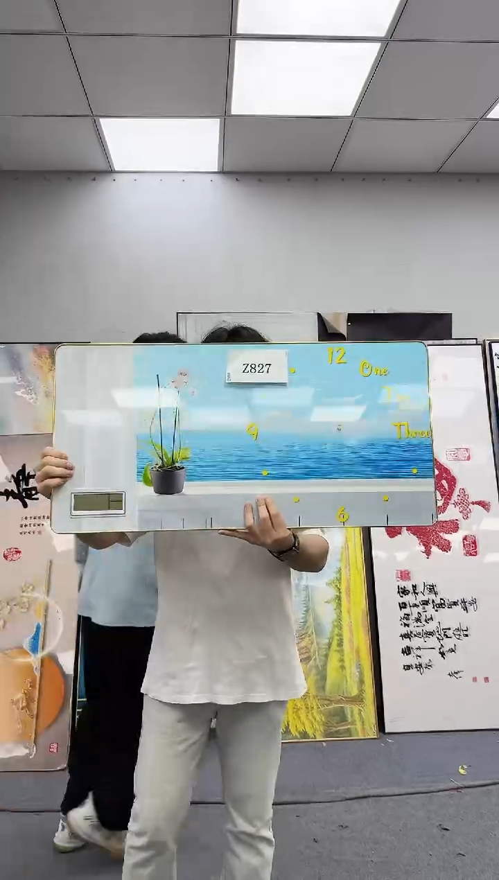 孤品微瑕黑马闪购Z827