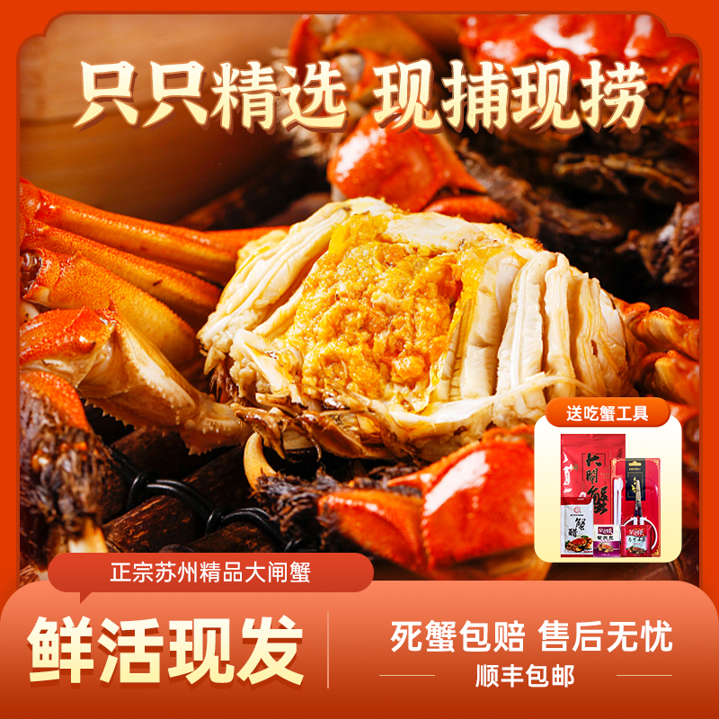 【活蟹】精品大闸蟹公6.0~5.7两 母4.0~3.7两 6只/8只/10只顺丰包邮