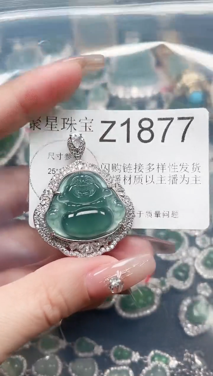 【闪购商品】翡翠颈饰未镶嵌赠皮绳1877