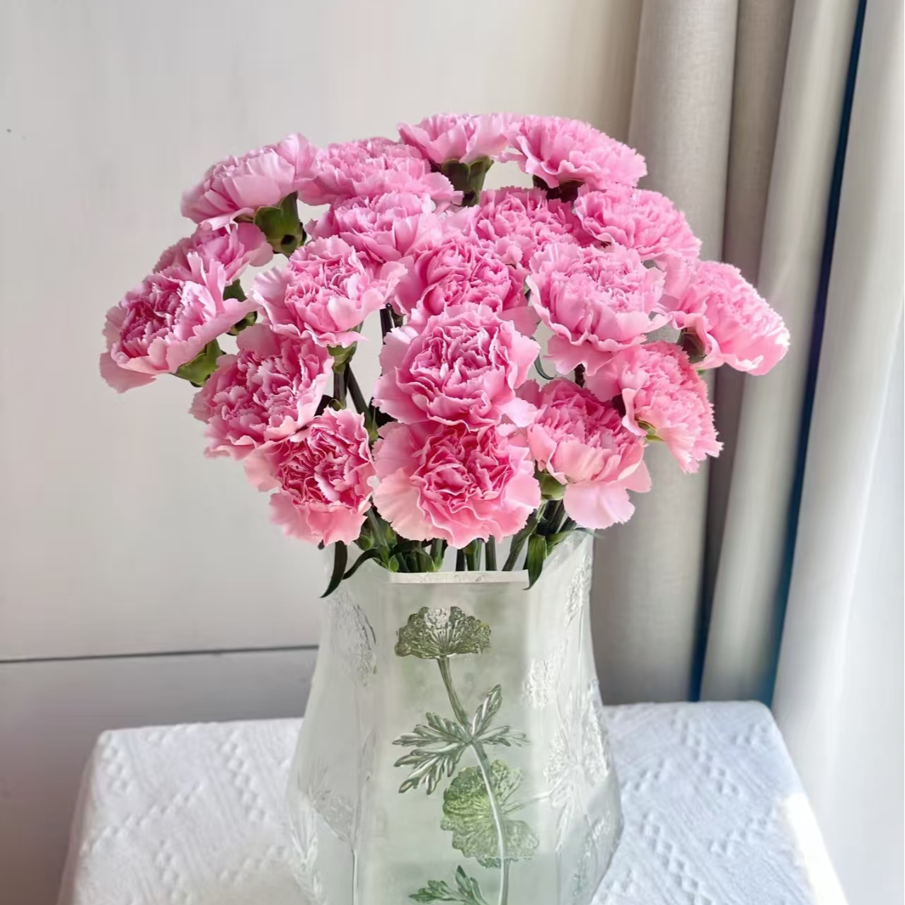 粉佳人康乃馨鲜花云南直发温柔好养家用水养插花