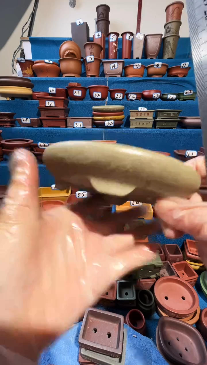 【闪购商品】紫砂紫砂花盆12.*9*1.5