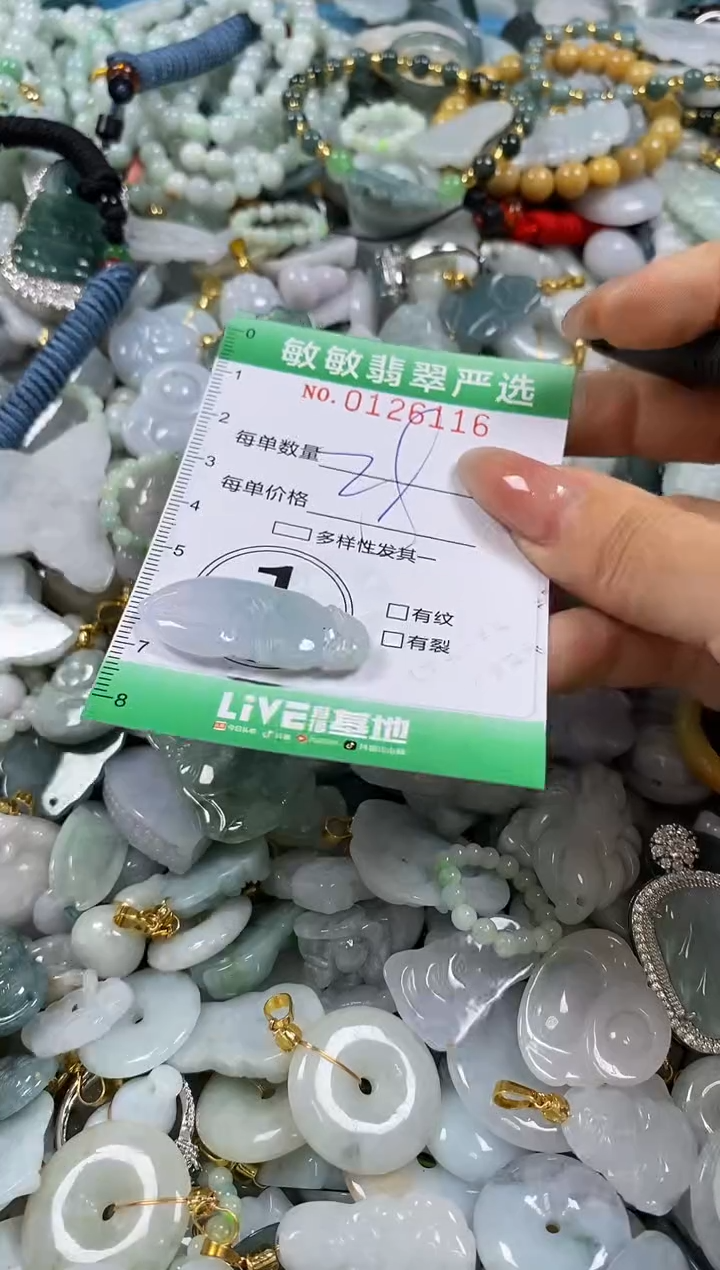 【闪购商品】翡翠颈饰未镶嵌闪购0126116