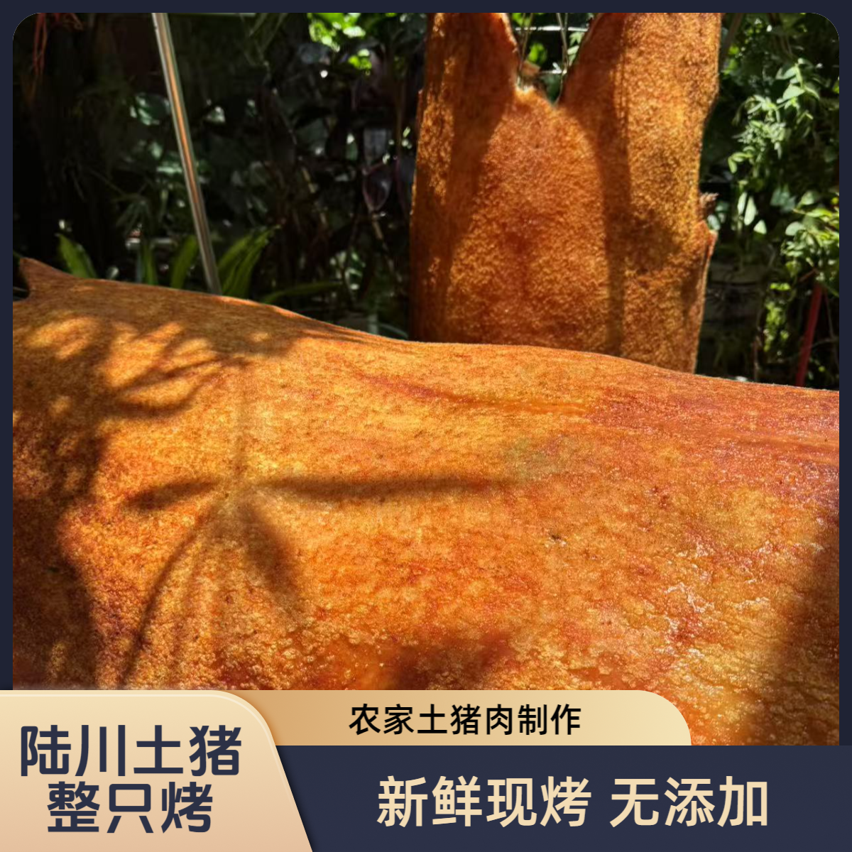 【买1斤送1斤】陆川烤全猪，土猪整只烤，加热即食抽真空顺丰冷链发货