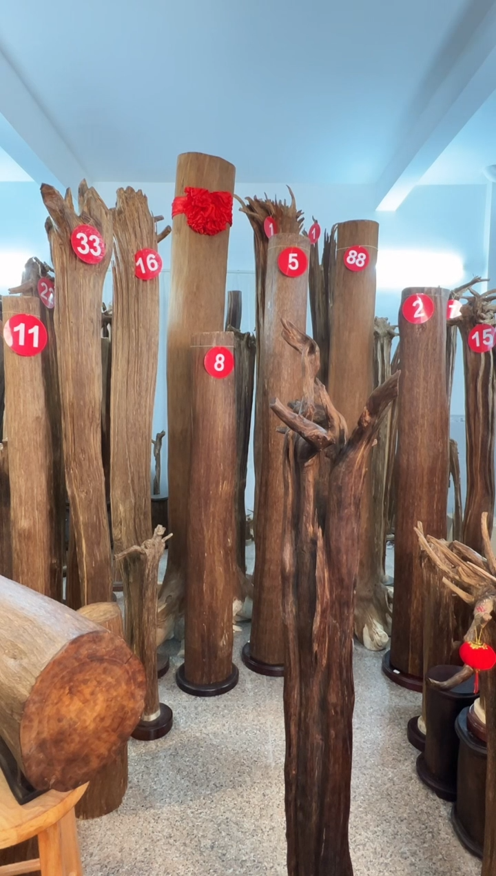 沉香摆件我**素沉香原料6