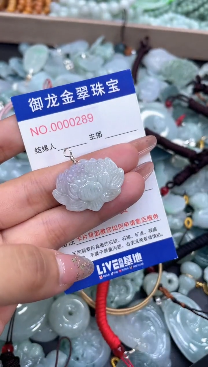 颈饰未镶嵌翡翠016