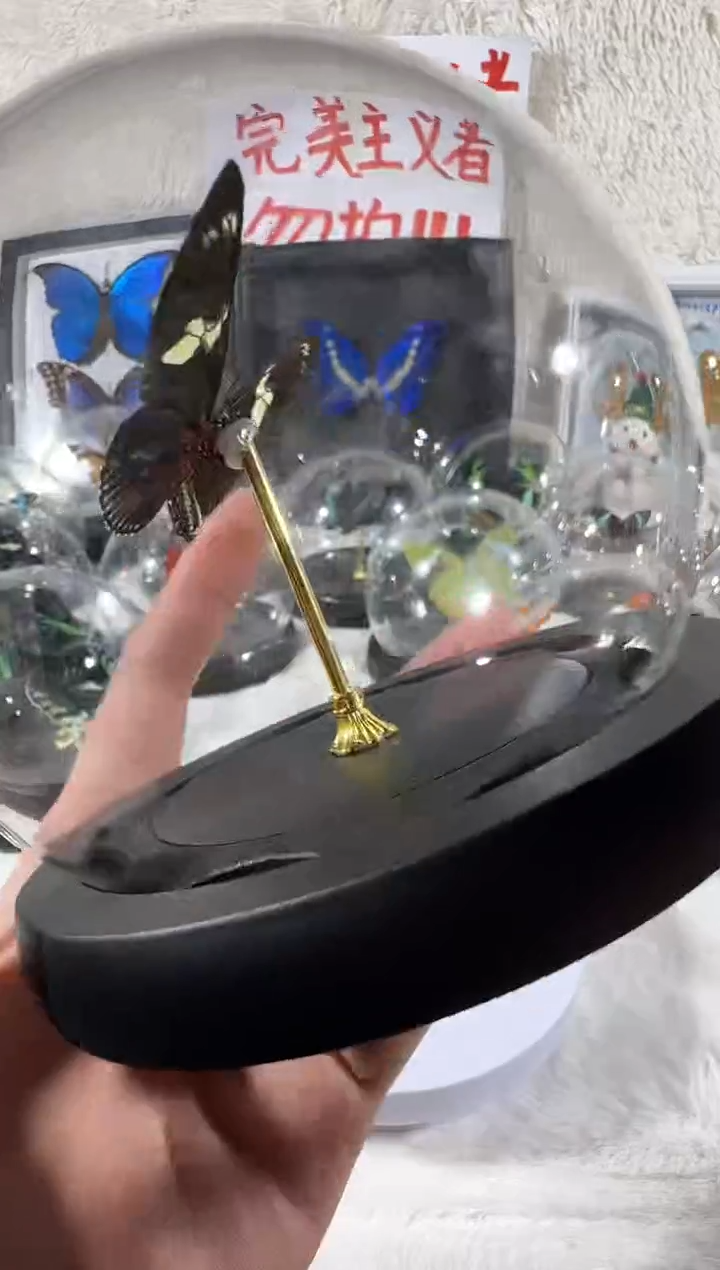 海神袖蝶绿水晶球   