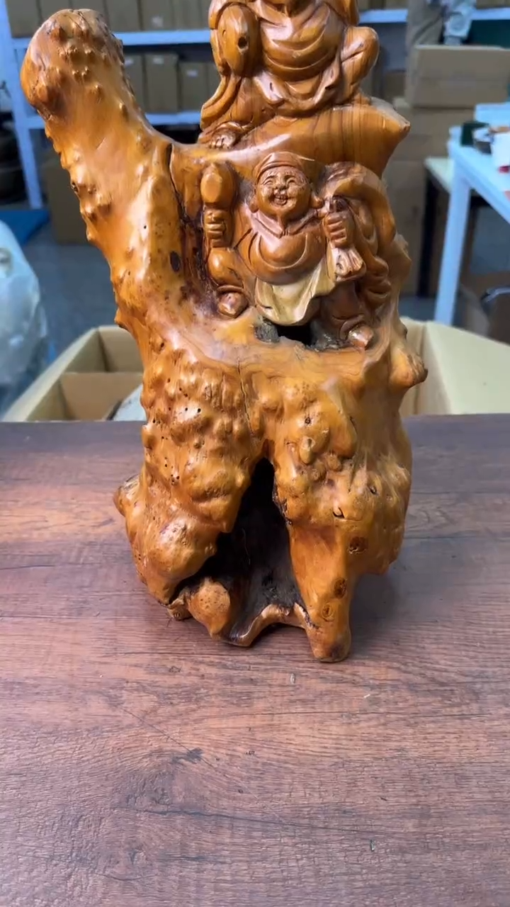 【闪购商品】仰望生活的光呀呀