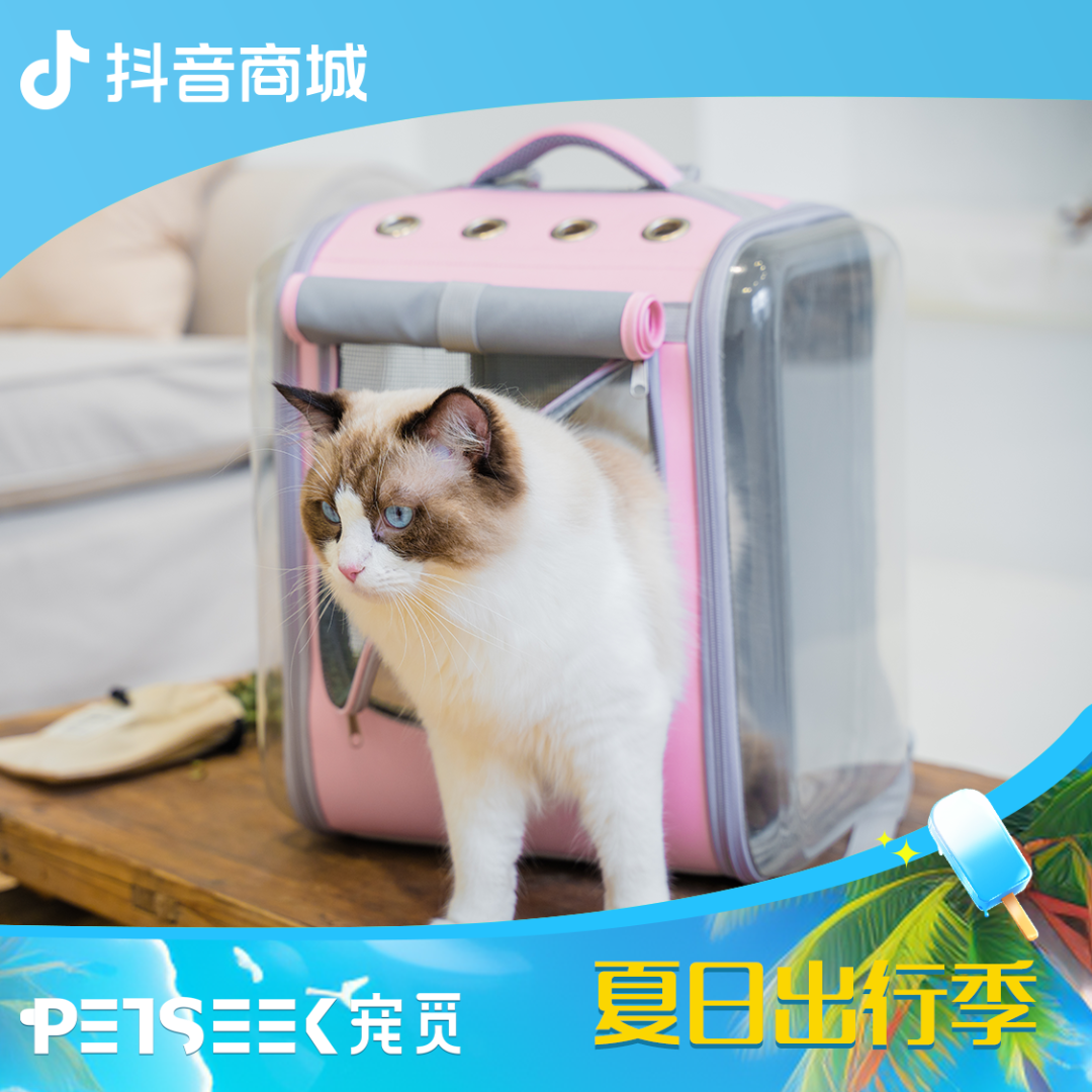 【petseek宠觅】透明方包收纳猫包狗舒适外出便携双肩背包超大两只