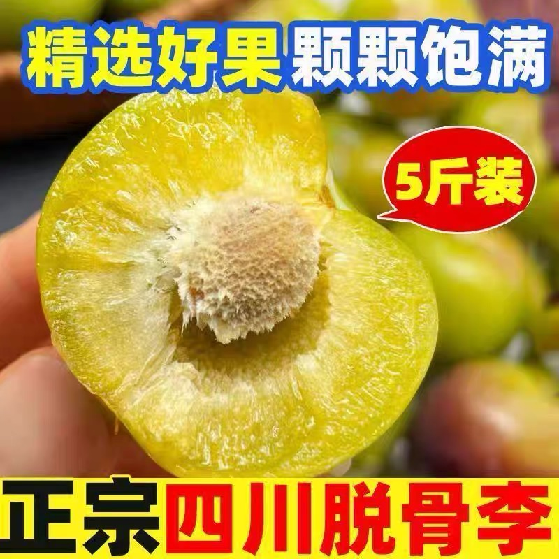 B正宗脱骨李新鲜应季水果脆甜多汁现摘现发青脆李脆甜半边红