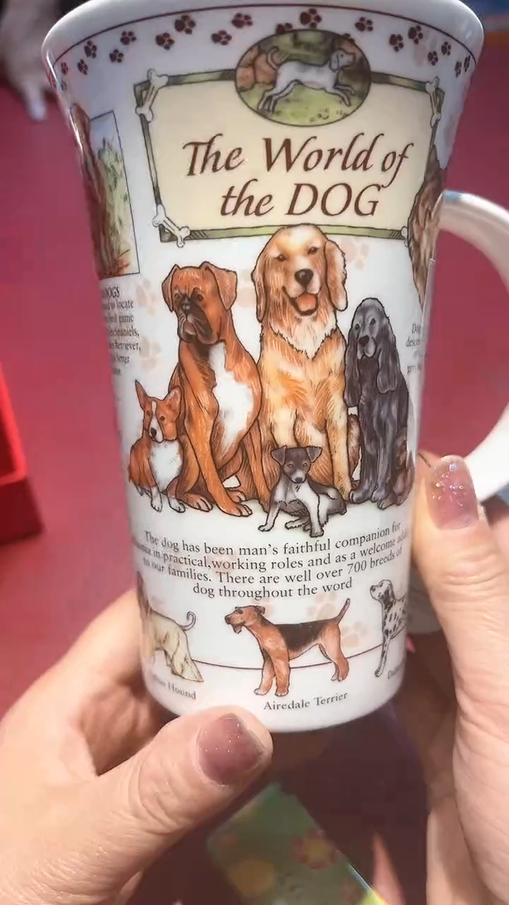 【闪购商品】瓷片锅碗瓢盆一件不剩