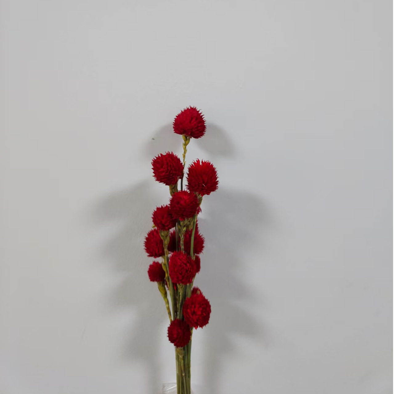 草莓果千日红天然干花花束客厅装饰摆件永生花花艺花材