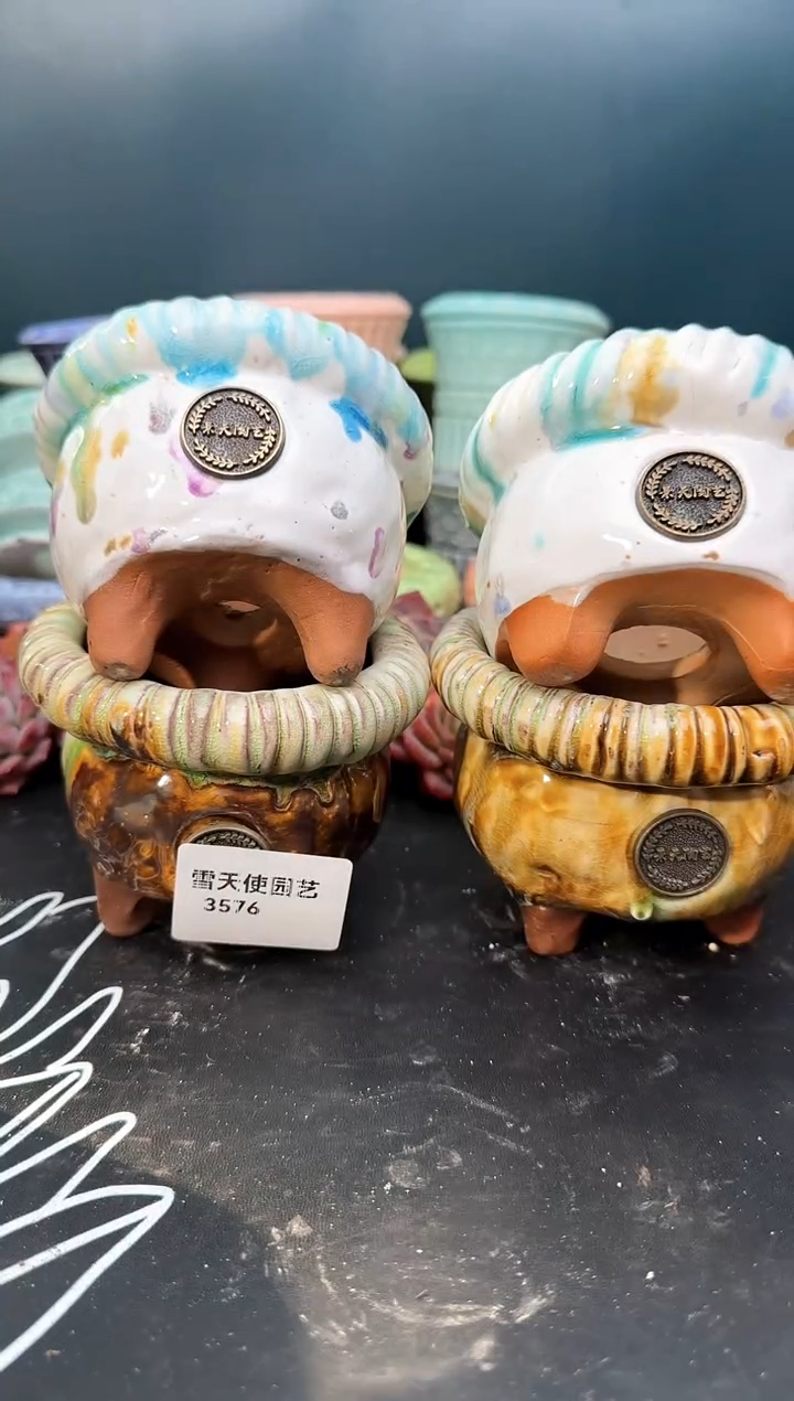 3 576 景天盆 4个 默认微瑕