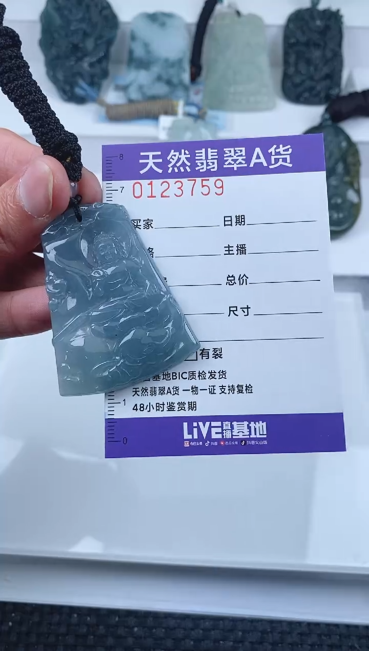 【闪购商品】翡翠颈饰未镶嵌          759
