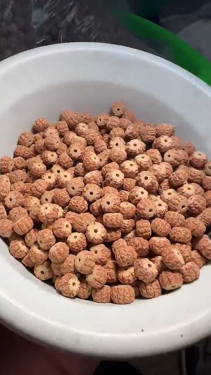 金刚菩提吊坠龙切跳跳龙散籽 一份一百颗9mm