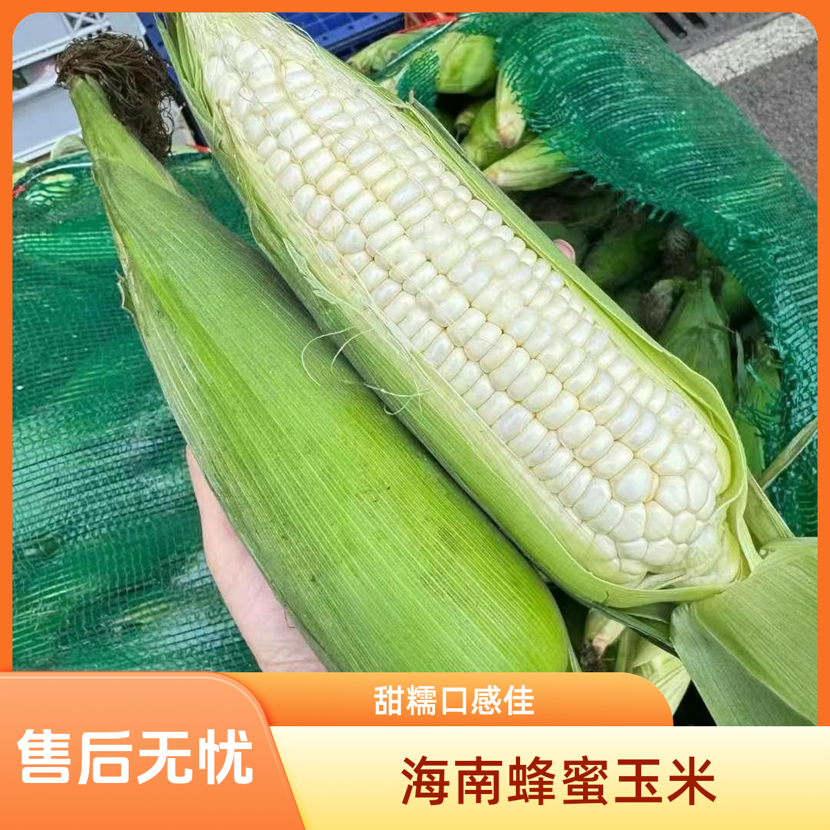 海南蜂蜜牛奶玉甜糯玉米3/5/10斤