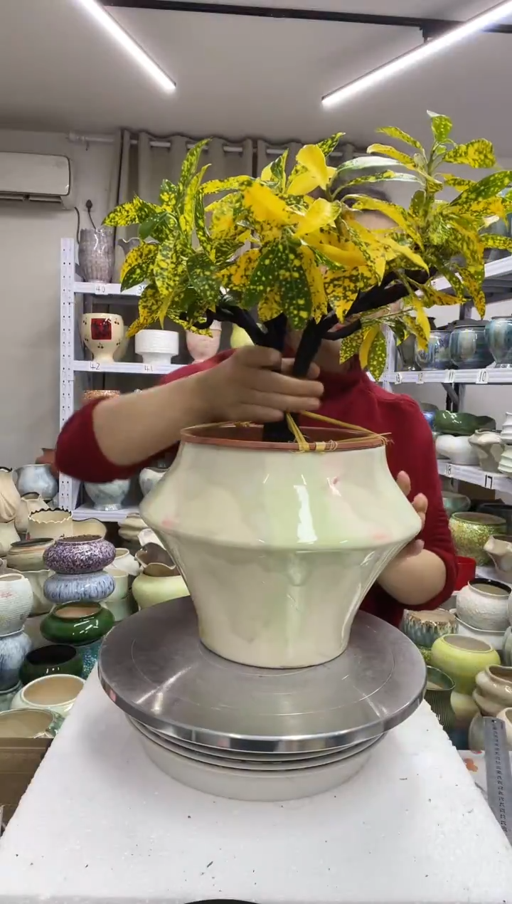 【1.3】花盆尺寸高：19 口：18