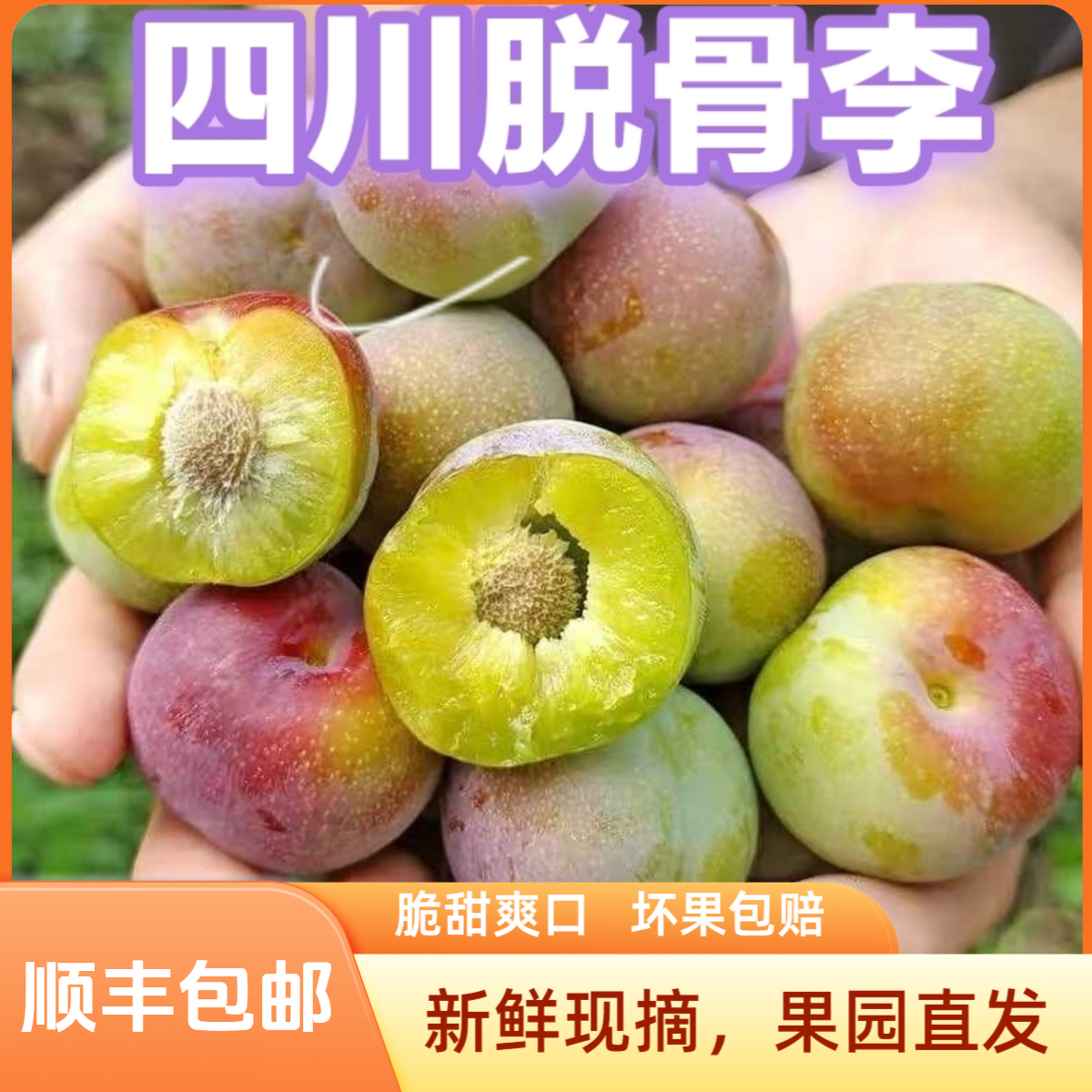 【顺丰包邮】四川高山脱骨李半边红新鲜水果现摘果园直发应季水果