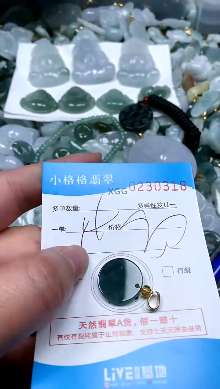 【闪购商品】翡翠颈饰未镶嵌闪购商品0230318多样性