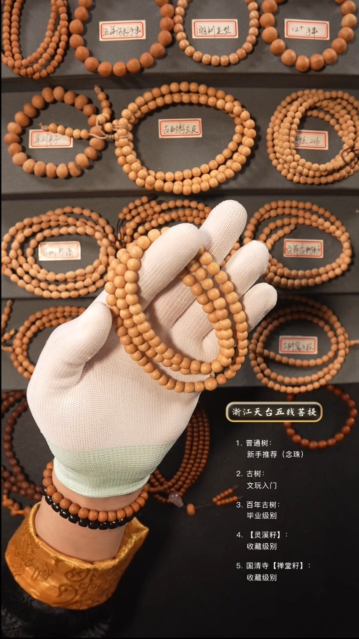 五线菩提吊坠脖挂q