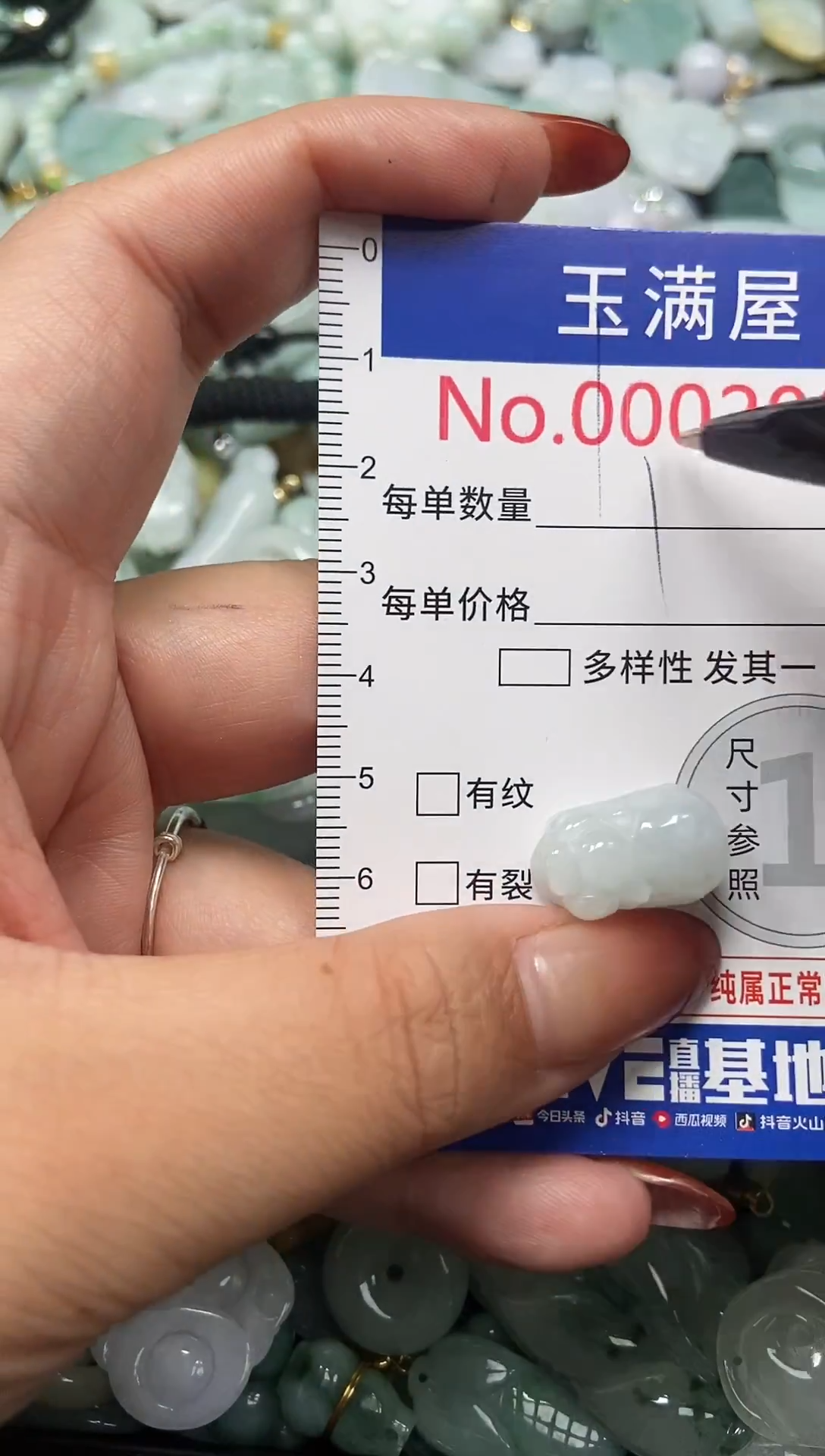 颈饰未镶嵌翡翠2006