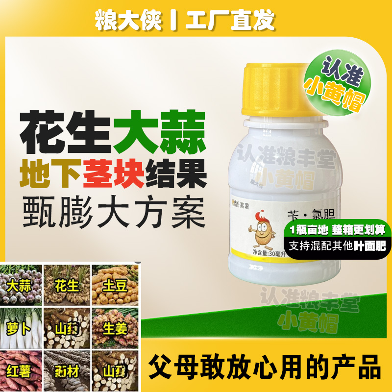 【小黄帽】地下茎块膨大通用液肥花生,大蒜,生姜,土豆,红薯增产促长
