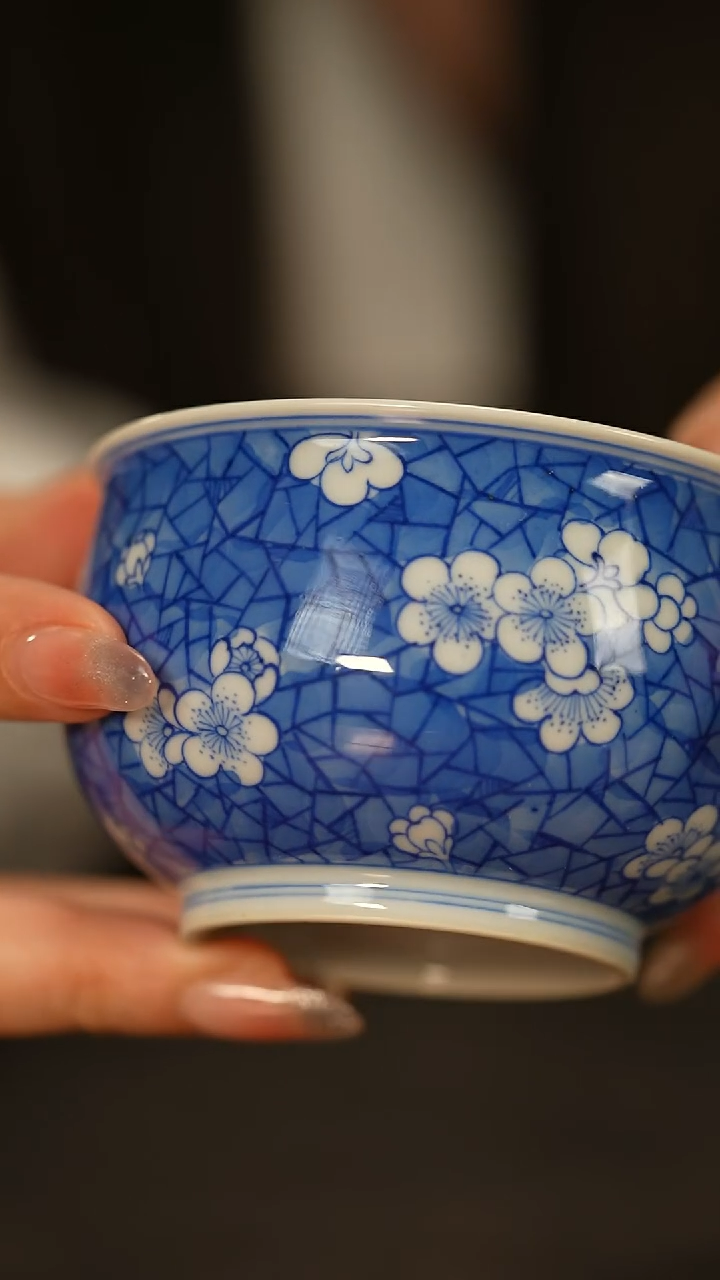 【闪购商品】瓷片春生                  