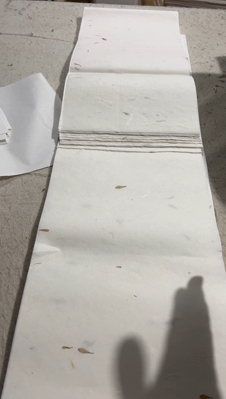 21 手工黄花云龙 23×138  50张