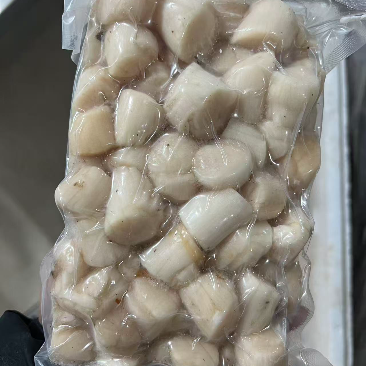 海岛海鲜小礼包顺丰发货现货