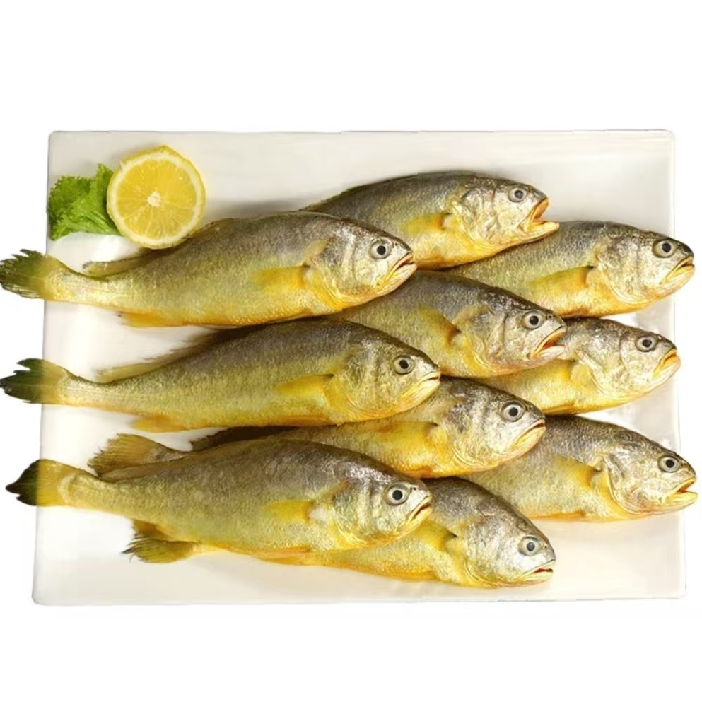 黄花鱼4-5两一条 鲜活冷冻 顺丰发货 拍6条发8条