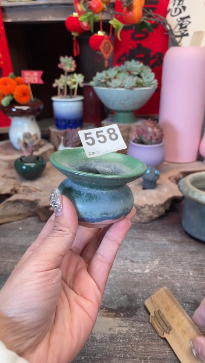 【闪购商品】摆件558知木小芳花盆