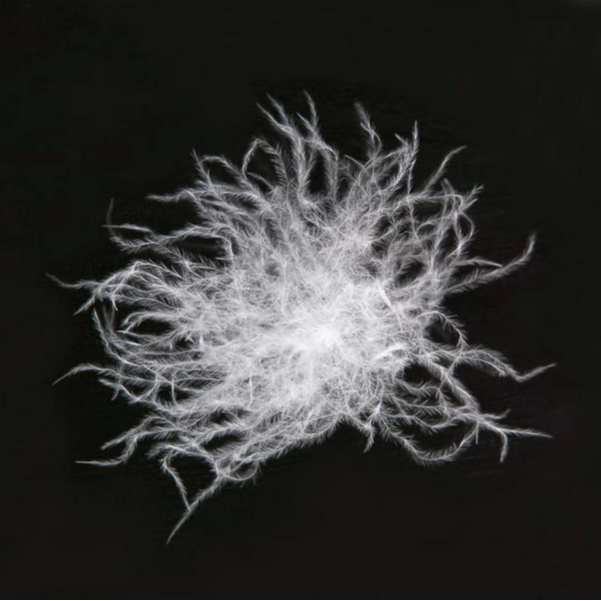 【精选大朵羽绒】90%绒子含量可填充羽绒服羽绒被等