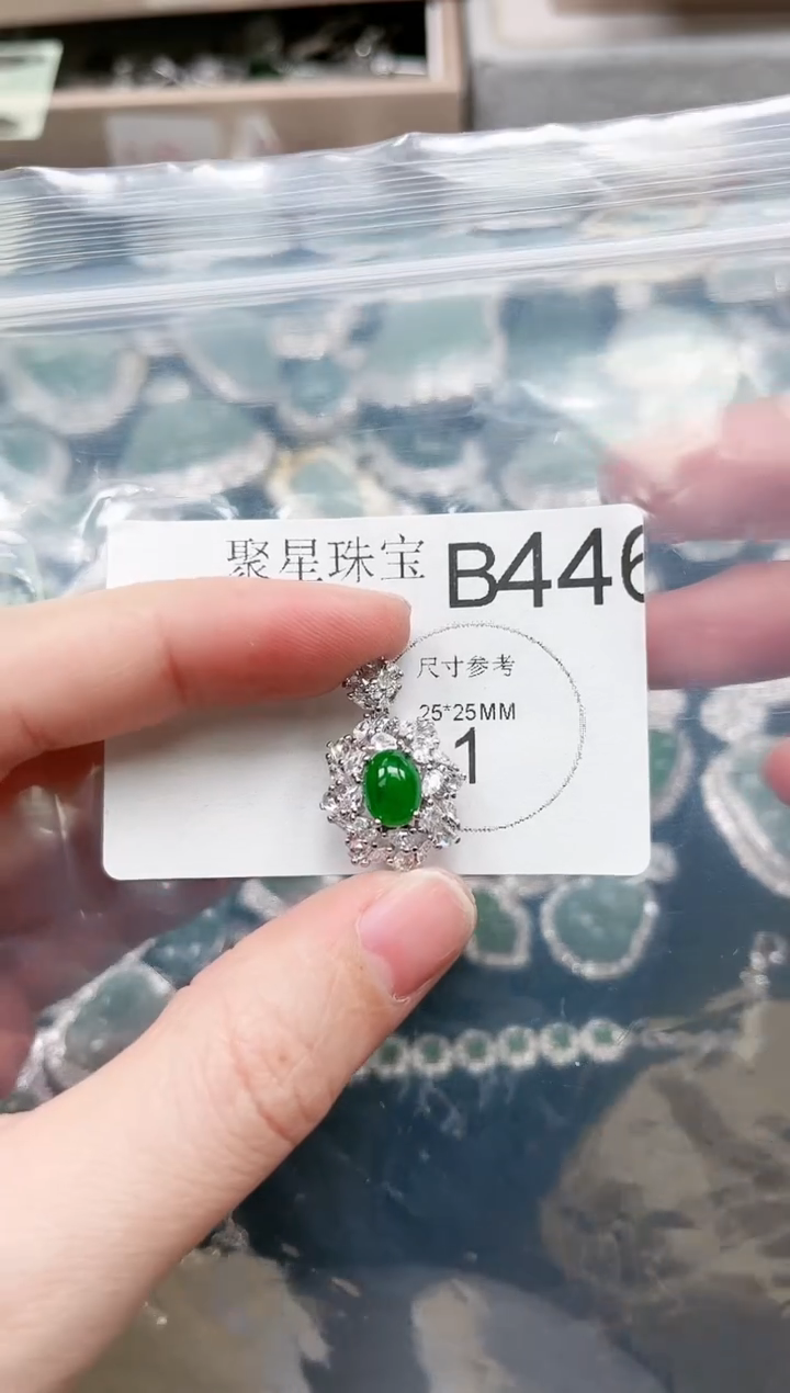 【闪购商品】翡翠颈饰未镶嵌赠皮绳446