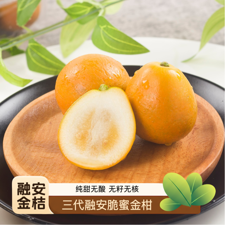【顺丰快递】融安三代脆蜜金柑 现摘水果 纯甜无酸 5斤彩箱装 送礼
